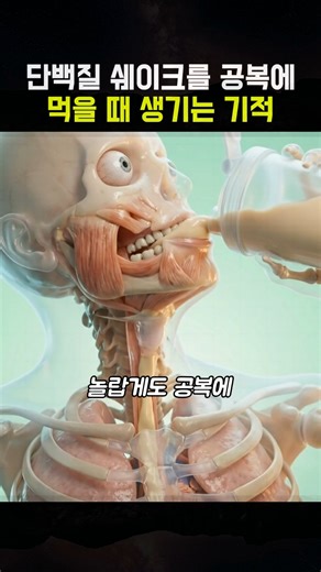 단백질 쉐이크를 공복에 먹을 때 생기는 기적 #건강정보 #건강 #건강관리