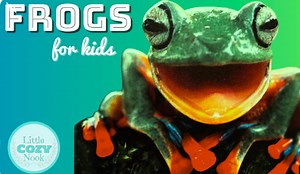 Fun Facts about Frogs for Kids | Educational READ ALOUD for Children