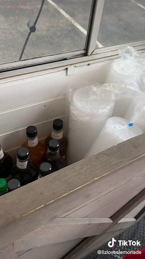 Explore My Lemonade Trailer Tour | Summer Drinks