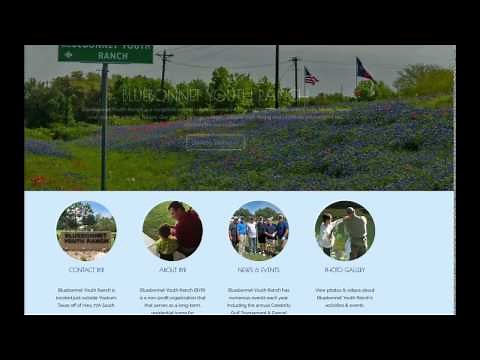 Changing the Text Color of a Single Menu Item in the Divi theme