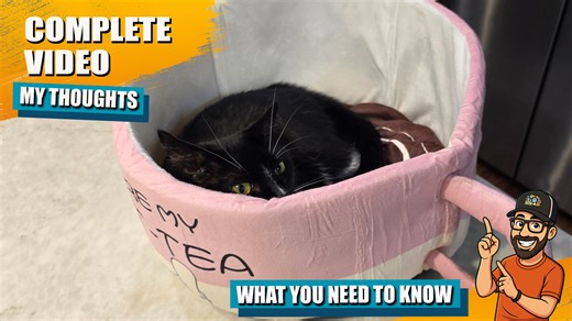 Watch Check Out this Super Cute Mug Cat Bed! on Amazon Live