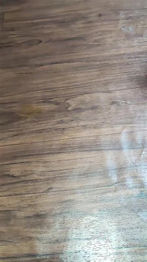 Exploring Unique Green Produce: Fresh Veggie Guide