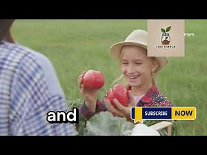 The lives of the Amish in the US DW Documentary