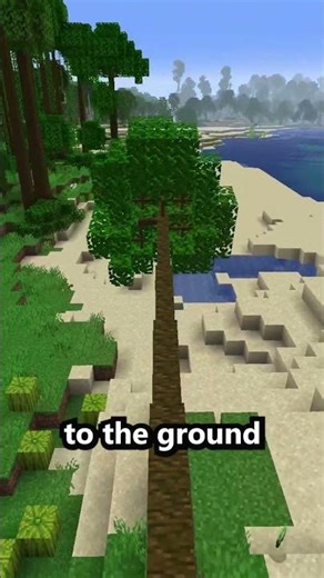 Making Minecraft Trees more realistic | Dynamic Trees Mod #minecraft