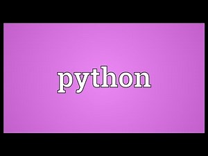 Python Meaning