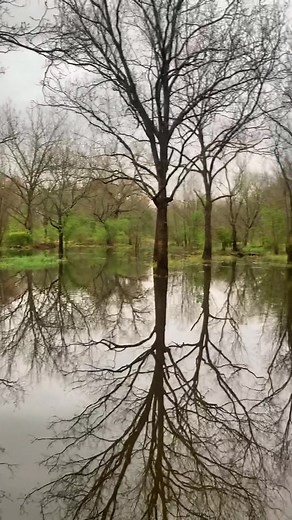 Ready to get started working on this new hole! We built a dike and installed water control structure last year. This year we will increase the size, level some high areas and grow some quality food 👍🏻 #waterfowlhunting #habitatmanagement #wetlandconservation #oklahoma #duckhunting #floodedtimber #waterfowl #ducktok