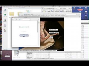 Cmap Resources Tutorial