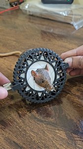 47K views · 627 reactions | New mouse trap under development, with new tech #mouse #trap #experiment #viral #engineering #dcmotor #funny #bug | Science & Engineering | Facebook