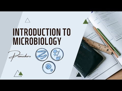Day 1/365 1st year microbiology 💯success in bsc mlt