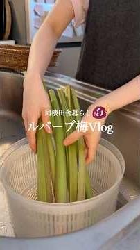 [Preparing plums without drying] Vlog about preparing rhubarb plums 🫜