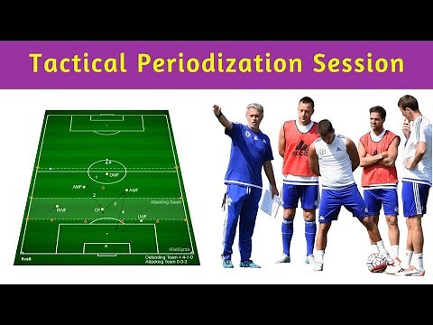 Tactical Periodization Training Session | Professional Coaching