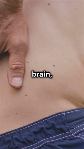 Mind vs Body: Are You More Than Just a Brain? 🧠✨