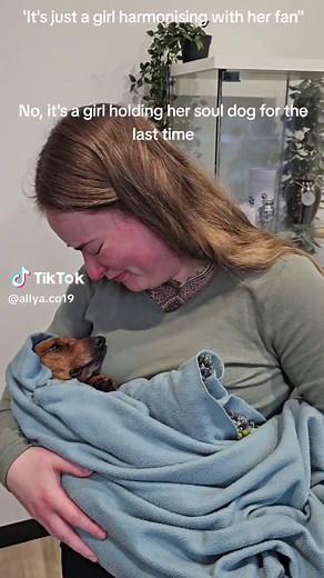 Heartfelt Moments: Saying Goodbye to My Soul Dog