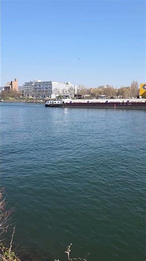 Frachtschiff auf dem Rhein bei Basel