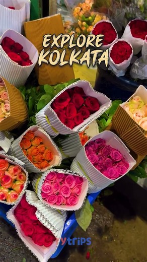 Kolkata Tour Package | Fytrips | Victoria Memorial Trip