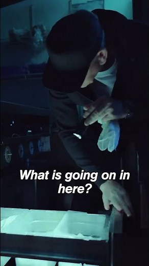 "please don't tell me there's food in there..." 👀 #secretservice