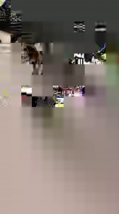 1M views · 907 reactions | Shop Olsa Tools and cut the middleman out of your toolbox! Tool-truck quality without the over inflated price with warranty shipped from the USA  | Olsa Tools | Facebook