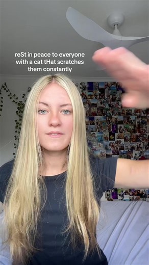 Dealing with a Cat That Constantly Scratches
