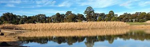 Yarrambat Lake Fishing Guide | Melbourne & Victoria