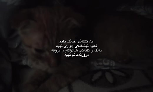 The Strength of Human Persuasion