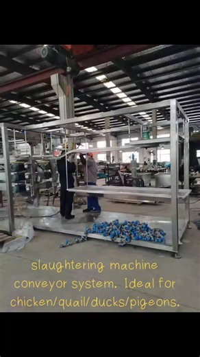Complete Slaughtering Line for Efficient Poultry Processing