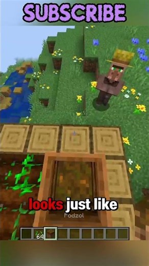 This is actually looking like this 😧 #minecraft #usa #shorts