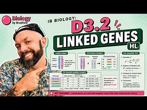 IB Biology D3 2: Linked genes and Chi Squared Explained (HL)