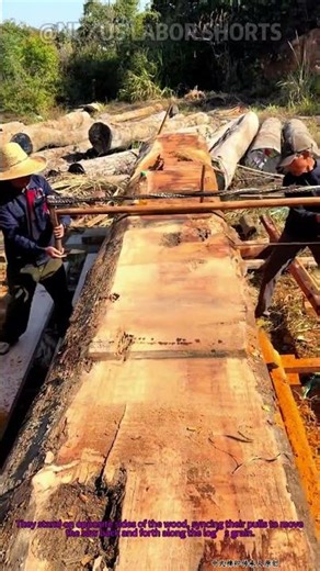 How to Use a Two-Person Hand Saw on Logs #Shorts #TraditionalWoodworking #HandSawing