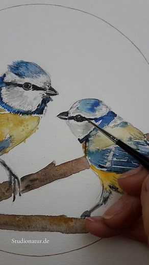 How about changing perspective and enjoy life? Watercolour of an eagle flying over the deep forest. Original is available. And It is inside my calendar 2026. . Studionatur.de Studionatur.etsy.com #art #birds #tutorial #illustration #painting