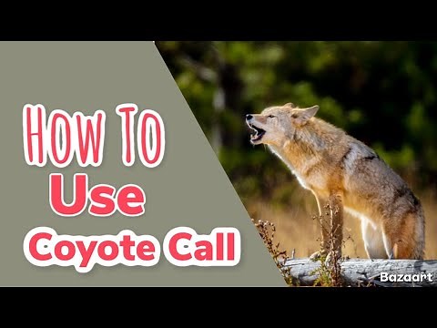 How use a Coyote Call ( Predator Calls Demo by D3 Game Calls)