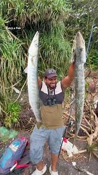 രണ്ടിനേം തൂക്കി #keralafishing #shorts