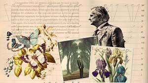 インテリジェントデザインはドーキンスのテストに合格している - Japanese Translation of "Science and Culture Today"