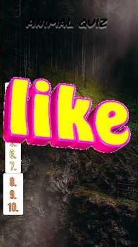 Guess The App By Logo Malayalam