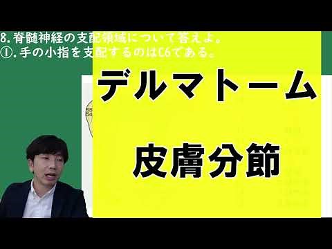皮膚分節・デルマトーム（上肢・体幹）【解剖生理学・形態機能学 脊髄神経・伝導路】