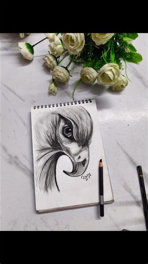 Eagle sketch 💥#shortsvedio