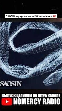 SAOSIN is back after 10 years of silence 💔