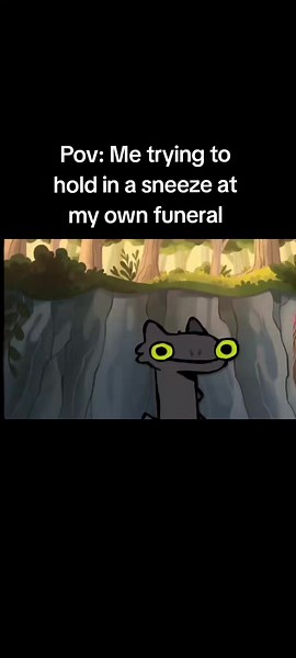 Dancing Lizard Meme POV: Sneezing at a Funeral