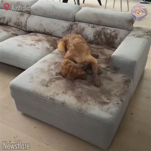 26K views · 76 reactions | She would do it all over again | Now I've Seen Everything | Facebook