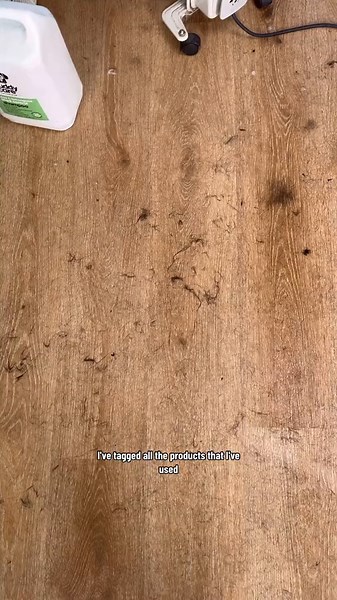 Labrador Dog Grooming Tips and Techniques | Labrador Care Guide