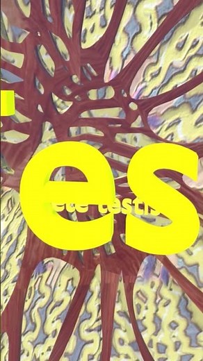 Mediastinum of the Testis