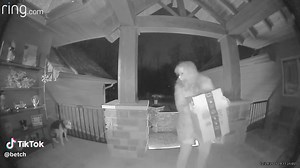 When your friend's mom gets spooked by the stray dog.... (ig: kkiley28)