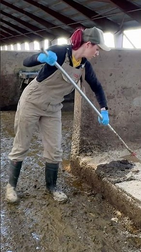 ✨ Cowshed Cleaning 101 with a Farm Girl 🐄