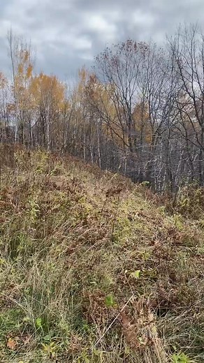 Not sketch at all 😎 - - #bikelife #dirtbike #ridemn #509offroad #509 #dirtbikes #minnesota #ktm #snowmobile #stinkwave #fyp #enduro #harescramble #erasedproducts #wheelie #pitbike #supermoto #gfxgraphicsteam #cboys #r6 #2stroke #509inc #northcountrycomfort #ice #idaho #icebike #snow #snowmobiles #cboystv #honda | Evan Sheff