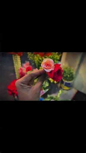 Bojhena Se Bojhena ❤️‍🩹💫 #song #lyrics #youtubeshorts #bengalisong