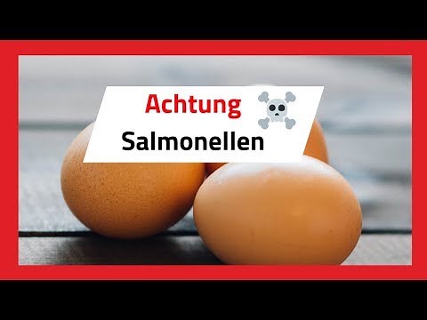 Achtung Salmonellen 🥚 Eier die Gefahr was tun? 🔴