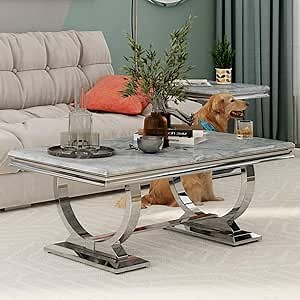 Asday Silver Coffee Table, 48 inch Grey Rectangle Living Room Coffee Table with Mirrored Chrome Double U-Base