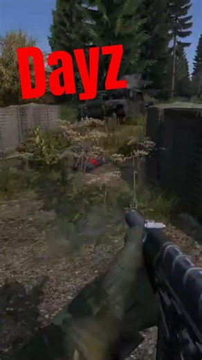 the server name is Red vs blue on the community server #dayz #conquest #gaming #redvsblue #ps5