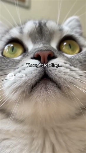 “My Cat Installed the Wrong Update 💀” #cat #shorts #catmeme #viral