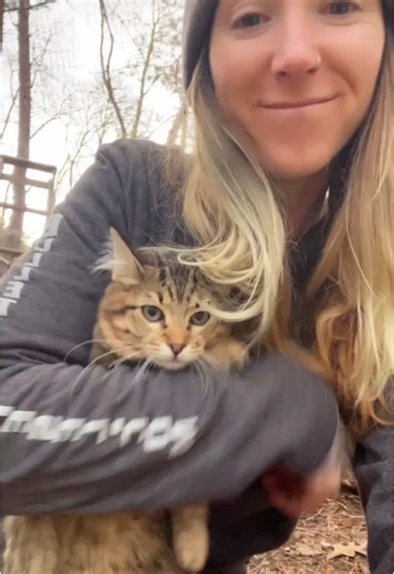 Daisy May STi (@daisymaysti)’s videos with original sound - laura ୨୧