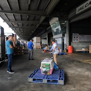 1.8K views · 55 reactions | "Airlines don't accept French Bulldogs"...